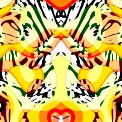 Faces in Shapes