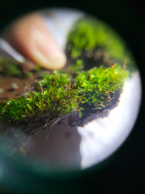 Item #12499860690887257293727532681291822536045842218714555575181684134079207833601 Media