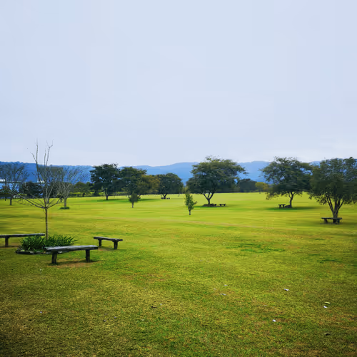 Item #31882075314192912160086998159124490424308141900795593509070756472328615362561 Media