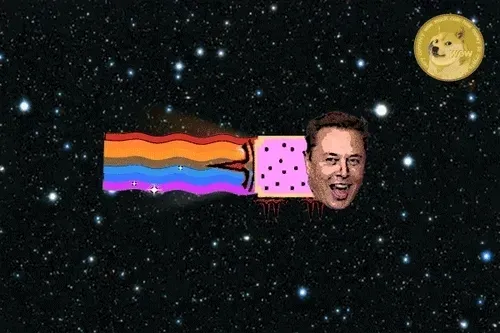 Elon Musk Nyan Cat