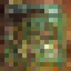 gyrate forest