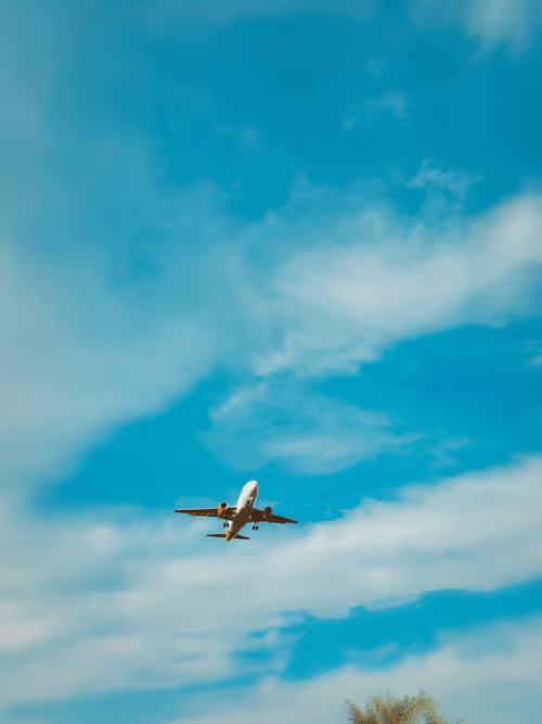 Item #36816001644917254617906175698674191035781868216999975889902342351957333639169 Media