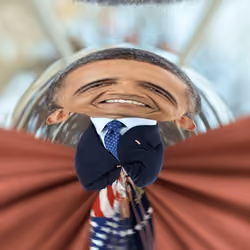 Barack Obama THE 44TH PRESIDENT OF THE USA