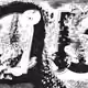 11077820935818451846702101582978582887645964781921647228574565084271254437889