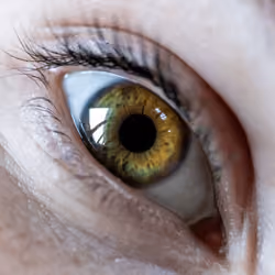 Eye line