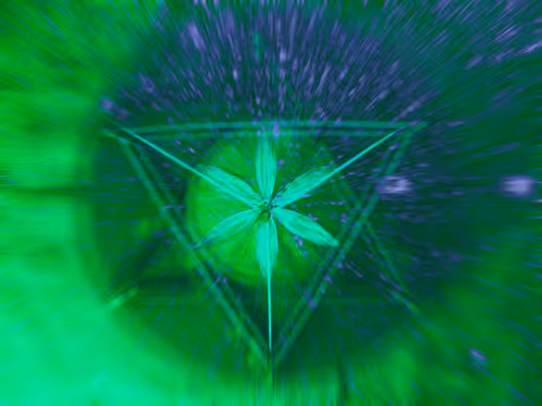 23849422083847873241615663808055350657274372535733224931962269426835154534401