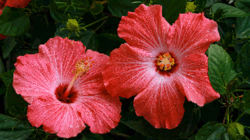 Item #75866091947728652238534111254584504918190435733442380629681527326261674770433 Media