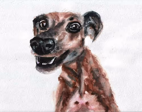 Item #53661683660994396488981893260373811515315705590489664499670501573928929035936 Media