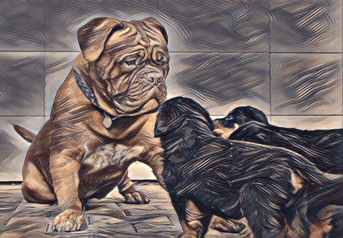 Item #54593652383459731767777383320415424164820202733853921615926635488137940303873 Media