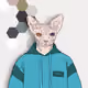 86643575542663916682409649052192093054898168628750726455431345850485846310913