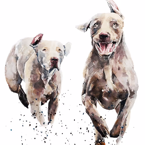 Item #15308155937593783866228062712704217529335676444312394672786838623821437599749 Media