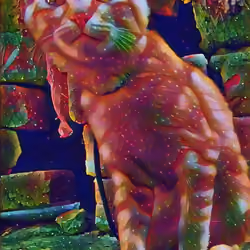 pet nft