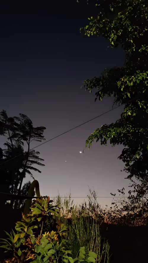 Item #83598511020809395668392107296684727847171301861461078139550822519043893755905 Media