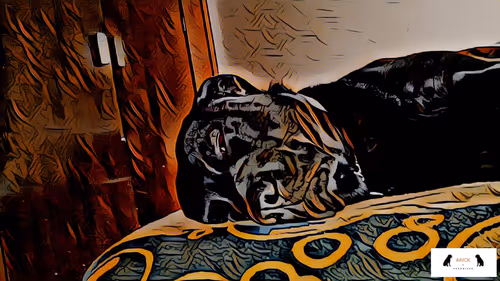 Item #10567450016853403337930259676618451783682953632793231315200837904196362567681 Media