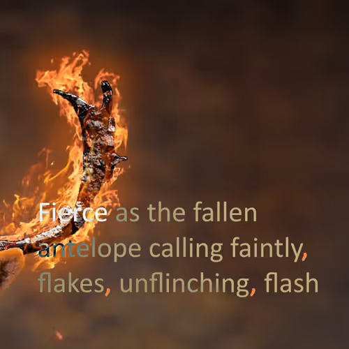 Item #48289997999590210334063077456393509528592056807732048907342275337078936961025 Media