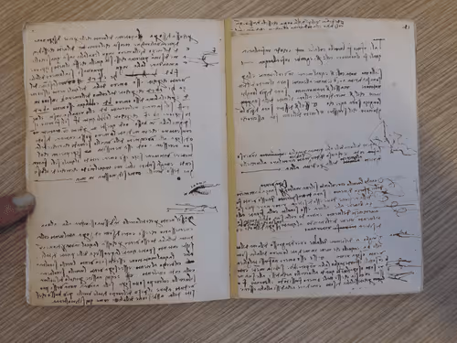 Item #64025094138680423074577716084272431496881629091617694666866554839518465228801 Media