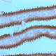 90202358499114476672208303453331118422763954486196048183723504046172599746561