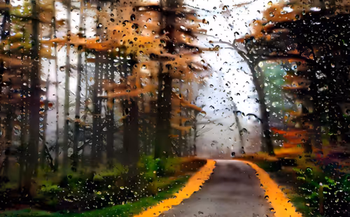 Item #111931536338815540459995626218953509390748120746063008762683298063579757936641 Media