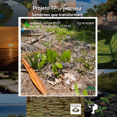 Item #8500196597889277390194123329501889087166328879864934763448348974349406961665 Media