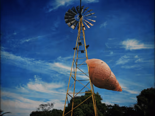 Item #58394047908970311376065937919186859287359681274732256848795642999463059914753 Media