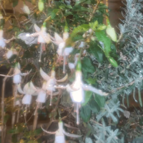 67063311385653974417294345948242991386225162520255287753600027367545602310145