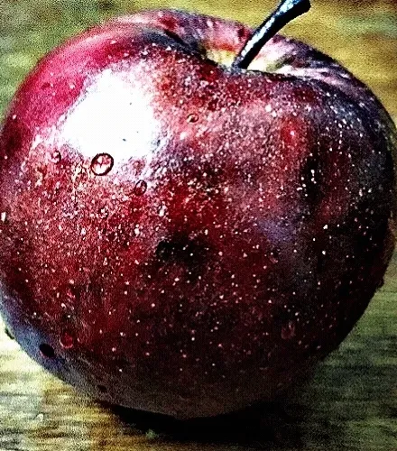 99240698403131764357396770641695198226804647575338296481324929408385597571075