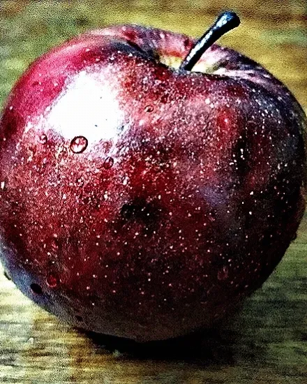 Item #99240698403131764357396770641695198226804647575338296481324929408385597571075 Media