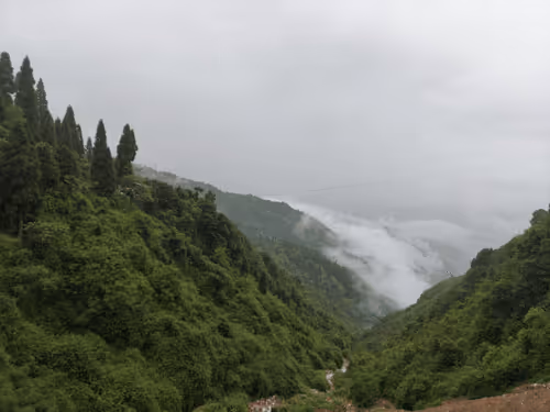 Untitled Collection #49707492