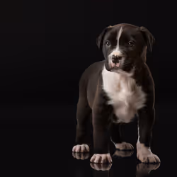 39267609400351157350082818508963900481325606176986545385386430947571626147841