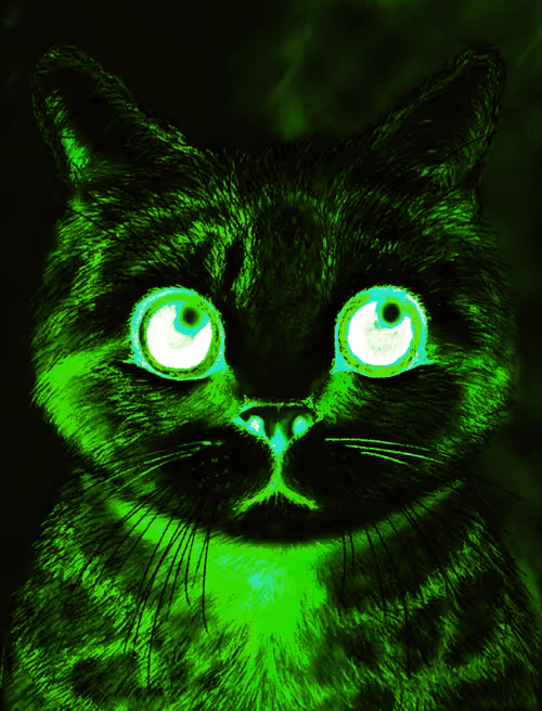 Item #56621992303262747893271366005093707345711101762340673219461019512454061752321 Media