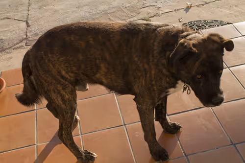 Item #7967281033894542222055828877453032867342209807388350993583448302423264722945 Media