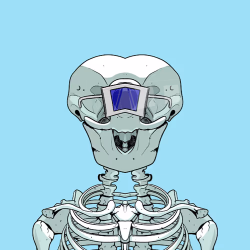 One-Eyed Skull Yacht Clup