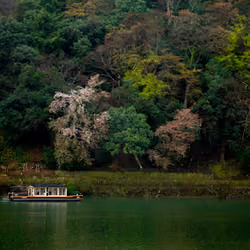 Kyoto #34