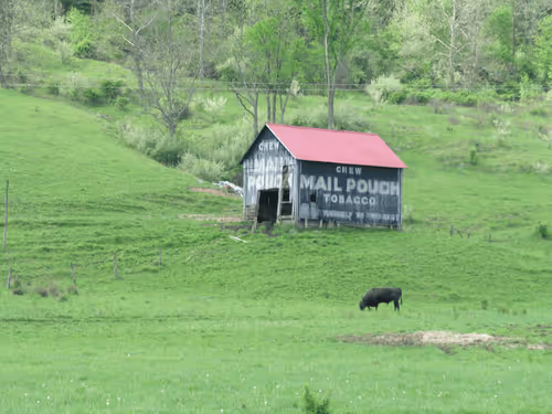 Item #91931664106156571735263247446027128189393314859416519894388302452162622914561 Media