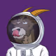 7718973731336416488445692142118457683650738527091618077438124098169843220481