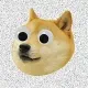 81770890518884202646749212643002208961461581075329461738347002141008937877505