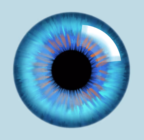 eye pupil