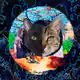 56490696687573564119518116291036611584171747492667214136961010511418379730947