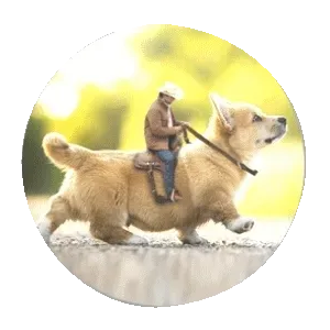 Item #35050624586134779551907097094684509425414576122780354967002837445774720106501 Media