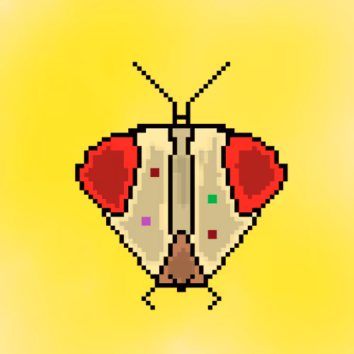 Item #14136992153433626768693748605344245508305382056447587313652271420016840146945 Media