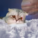 70726503922268428037548532046889285048638163058416930212662801314197591293953