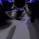 45941532898546409348084970976128869903060481563998424908091578082643756974081