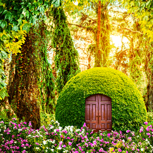 Item #55597204205250560459776964515084380351714237799732948306149299943800536301569 Media