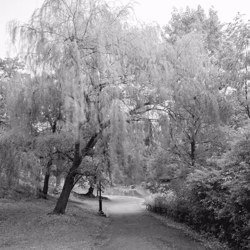 109162157552346088047496633038404394118504199992061596446112929345645431488513