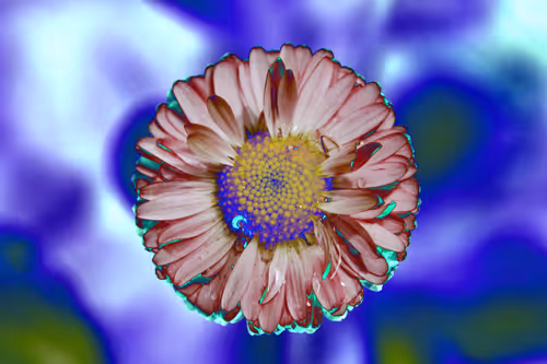 Item #97472780855113725442361506406406632137290984226550429674679319492365725466625 Media