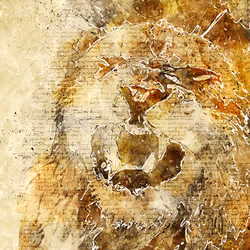 11276162529628641556553056529614973332754405277106184420845745375365893718017