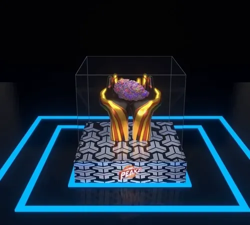 Item #30416664768498730083160680636723480070814186252642691524355120807709683744769 Media