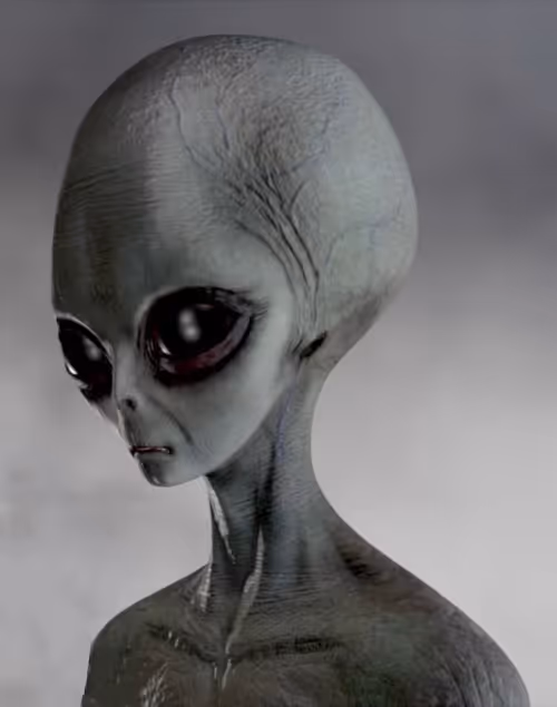 Item #104496985584808197411299000803927756186977529206466580863662693559750281396724 Media