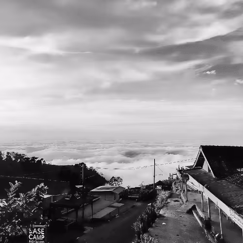 Item #31624274509119207472621893609913632294592170804295754614641563358067133775873 Media