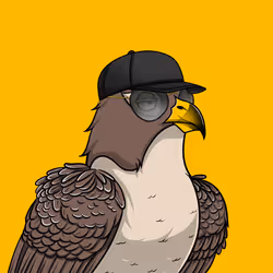 11538255180231465227692626853838225494553623514996908007785703458375936770049